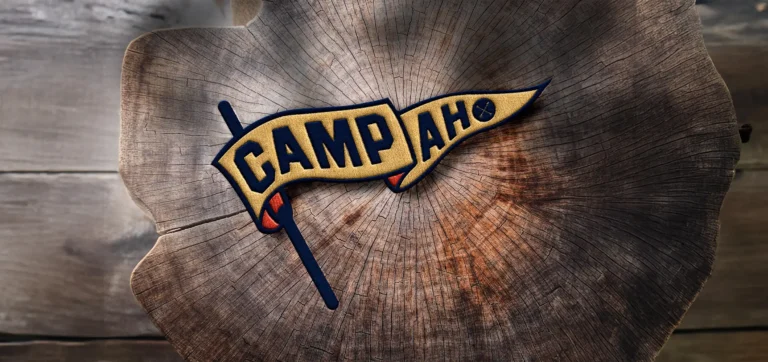 [AHA] Camp AH Cover 02