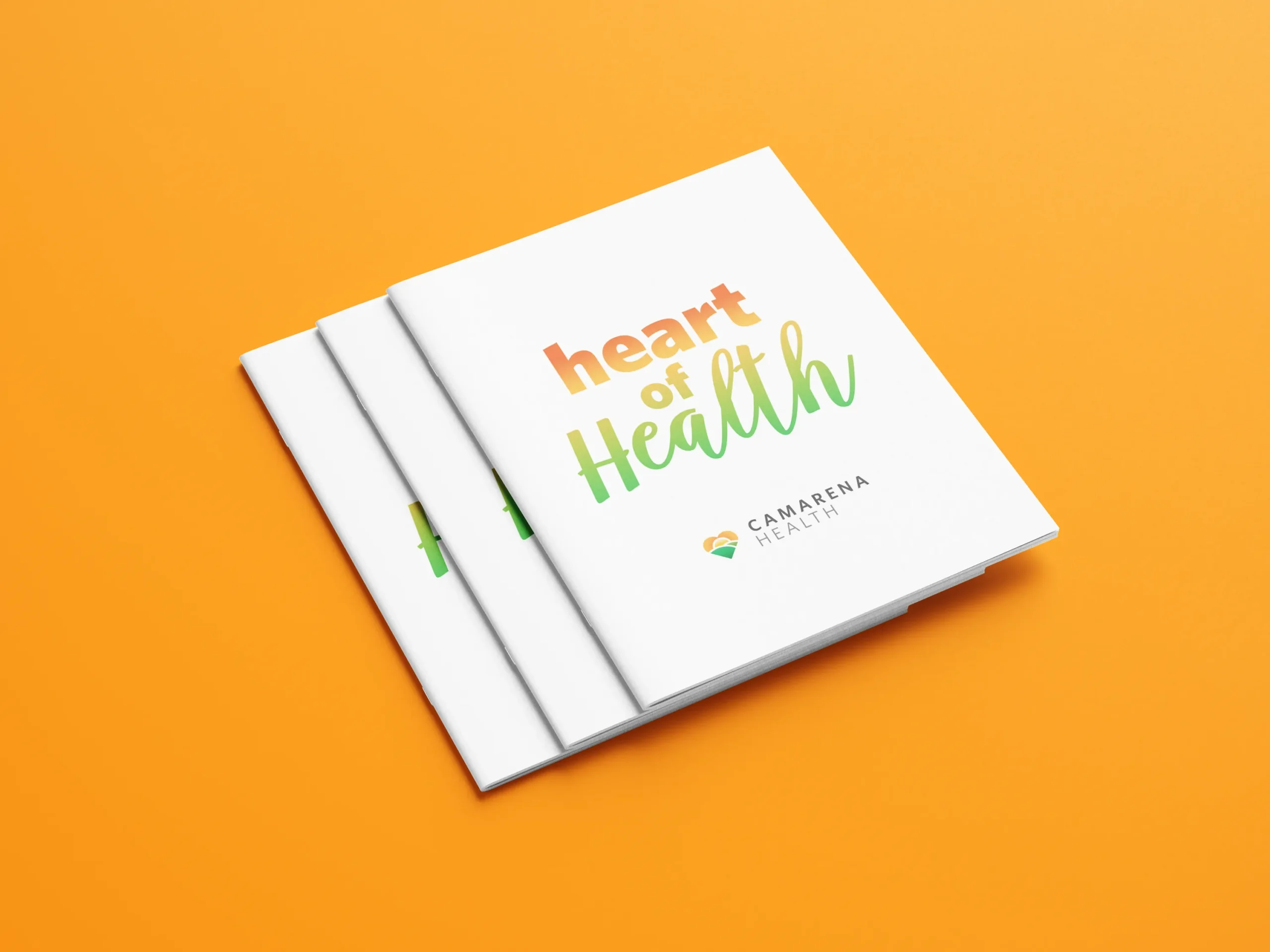 CAM 2018 Annual Report Stack