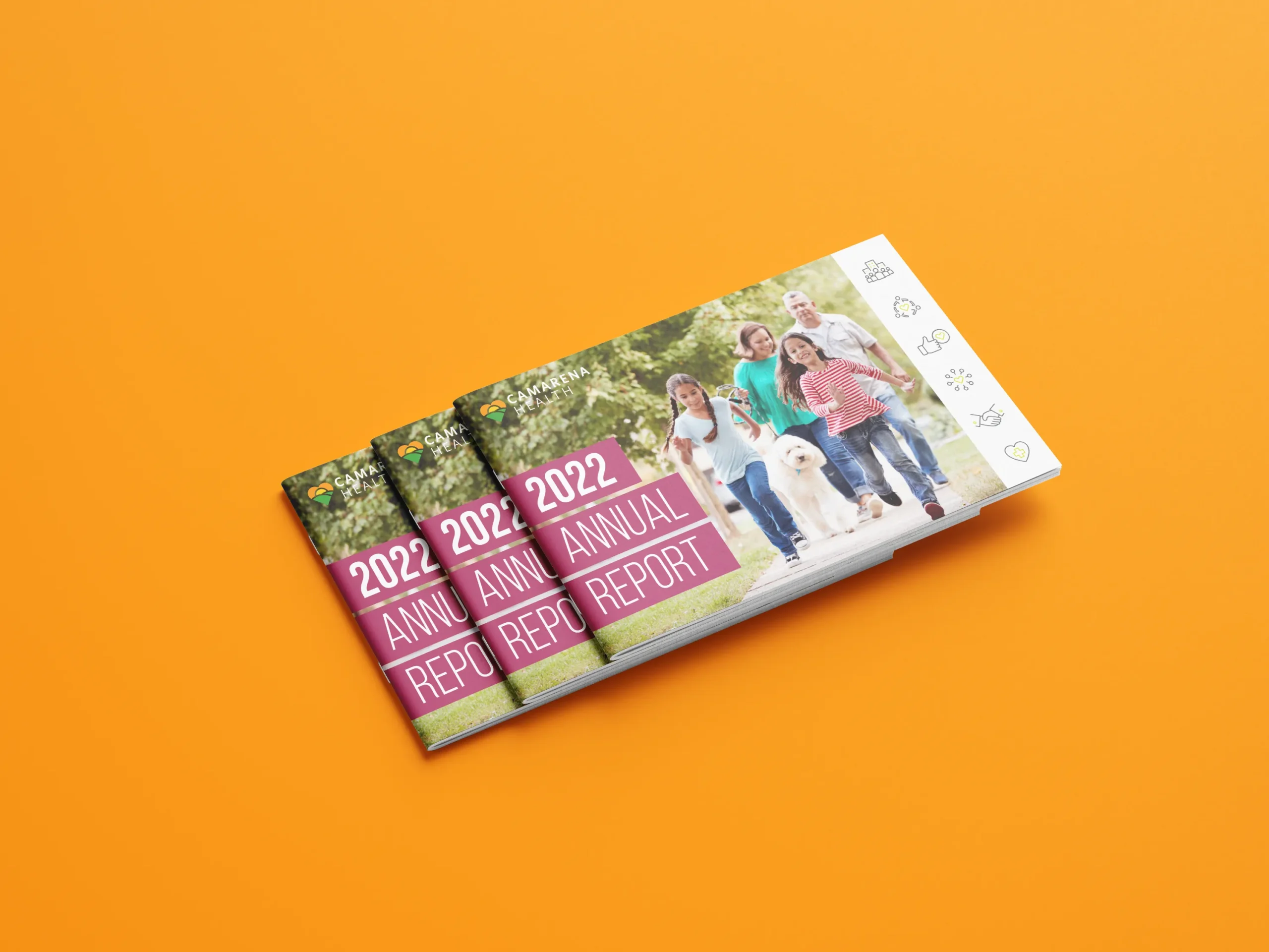 CAM 2022 Annual Report Stack